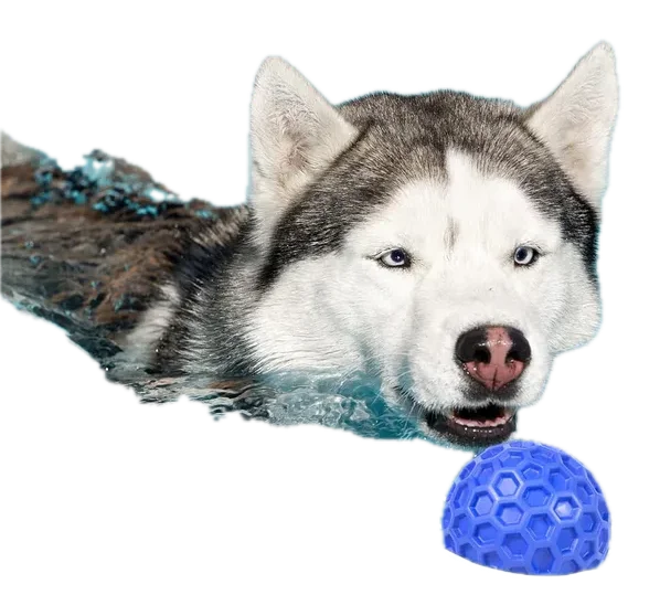 Floats, Bounces, Goes Anywhere