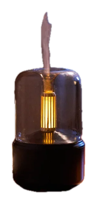 Aromatherapy & Humidity in One
